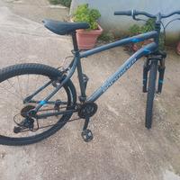 bicicletta ST 100