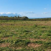 Barletta 1 ettaro terra vuota pozzo elettrico