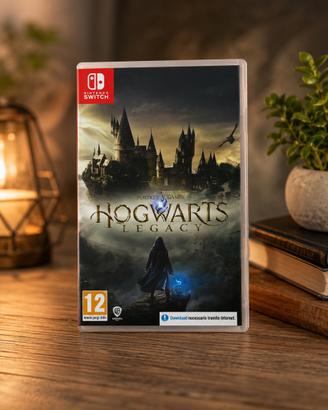 Hogwarts legacy nintendo switch