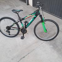 bicicletta mtb ragazzo 24 verde