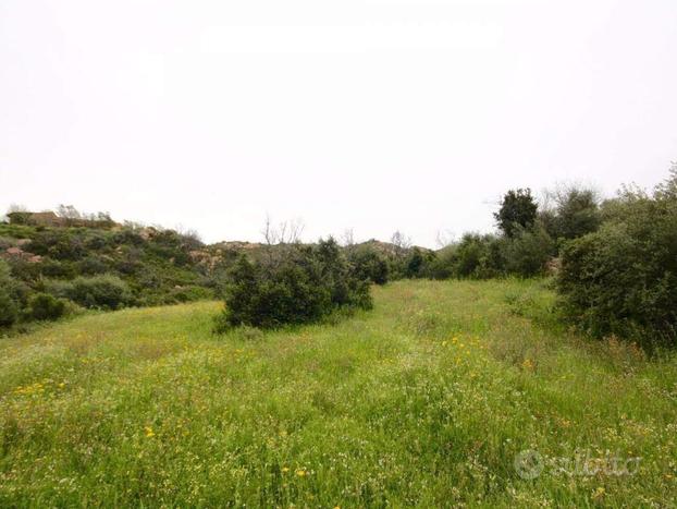 Terreno Edificabile e agricolo Loiri (la Sarra)