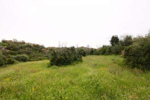 Terreno Edificabile e agricolo Loiri (la Sarra)