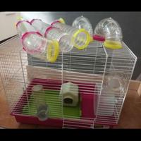 GABBIETTA CRICETI E PICCOLI RODITORI