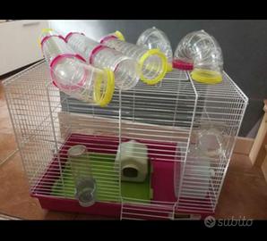 GABBIETTA CRICETI E PICCOLI RODITORI