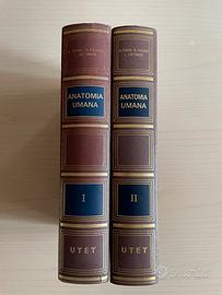 Trattato di Anatomia Umana