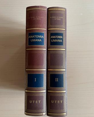 Trattato di Anatomia Umana