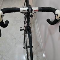 Bici focus carbonio 