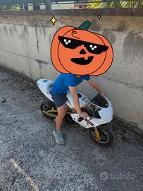 Minimoto a scoppio da competizione (no cinese)