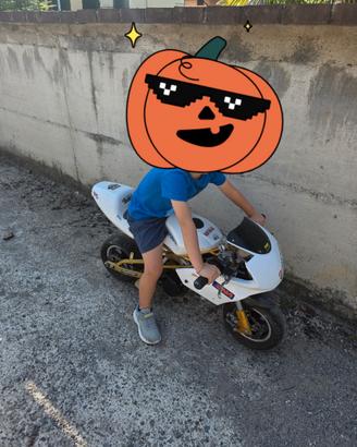 Minimoto a scoppio da competizione (no cinese)