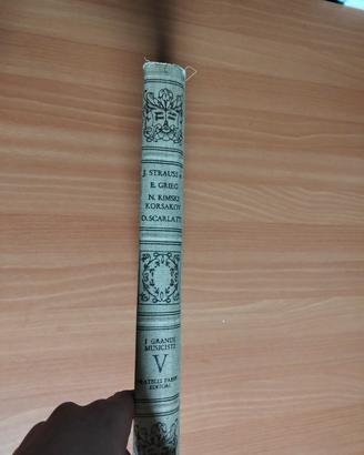 "I Grandi Musicisti" (Volume 5) 