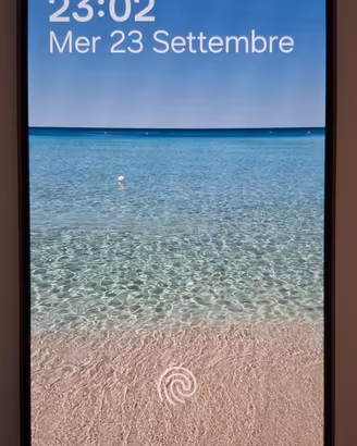 Samsung S24 256GB - No graffi no danni