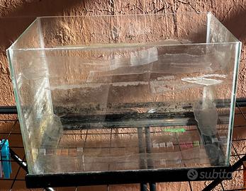 Acquario 35x23x23 20 litri