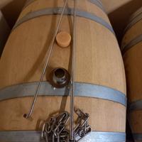 Attrezzatura vinificazione 