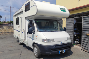 Camper McLouis 431