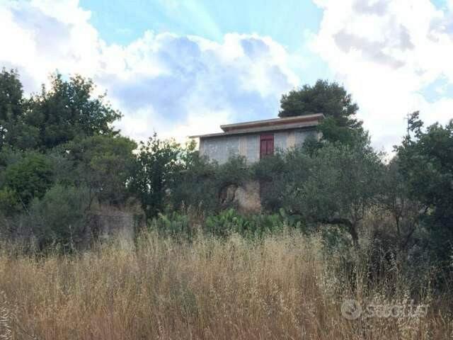 Terreno con Casa - Belmonte Mezzagno PA - Vista 3