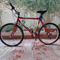 Bicicletta mountain bike