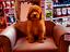 Immagine 28
