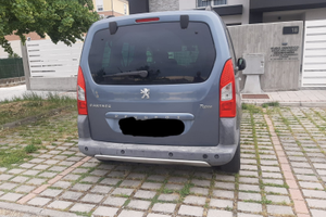 Partner Peugeot Tepee