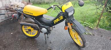 HONDA PXR 50