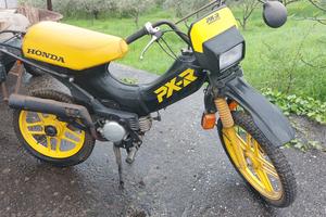 HONDA PXR 50