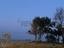 Immagine 10