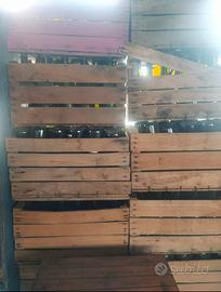 bottiglie vetro vuote 500