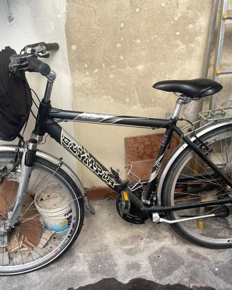 Bici da uomo marca olimpia