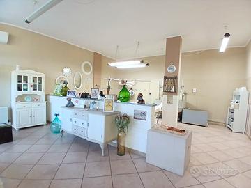 Vendita Toelettatura