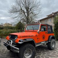 Jeep Wrangler 4.0 cat Hardtop Limited