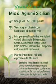 Mix di Agrumi di Sicilia - 20 Piante a scelta🌱