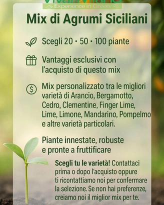 Mix di Agrumi di Sicilia - 20 Piante a scelta🌱