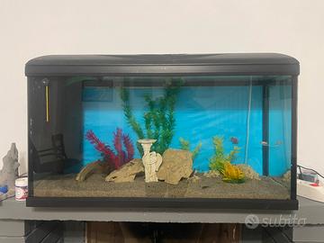 Acquario 100L come Nuovo - Completo di Accessori