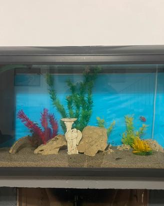 Acquario 100L come Nuovo - Completo di Accessori