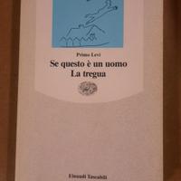 libro Se questo è un uomo

La tregua


