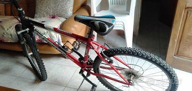 Bici sportiva