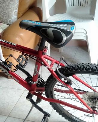 Bici sportiva