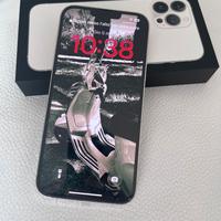 iPhone 13 Pro Max 256 gb argento
