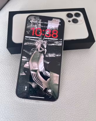 iPhone 13 Pro Max 256 gb argento