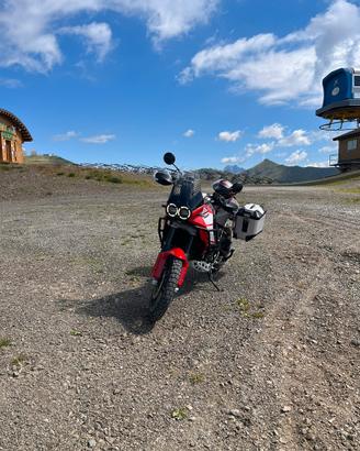 Ducati desert x