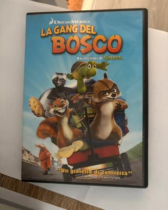 DVD cartoni a scelta e giochi computer