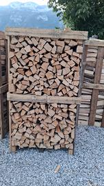 legna da ardere faggio e carpino