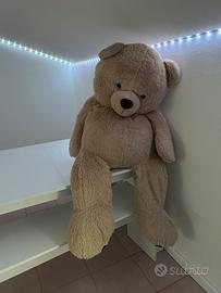 Peluche orso 150