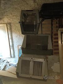 trasportini kennel diversi modelli