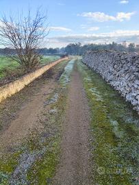Terreno agricolo con fabbricato rurale