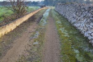 Terreno agricolo con fabbricato rurale