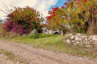 Marina di Ragusa - Terreno agricolo