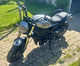Benelli leoncino 800