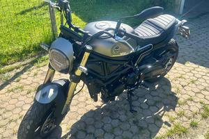 Benelli leoncino 800
