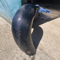 Paramarmitta ktm husqwarna