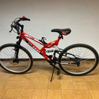 Bicicletta da montagna